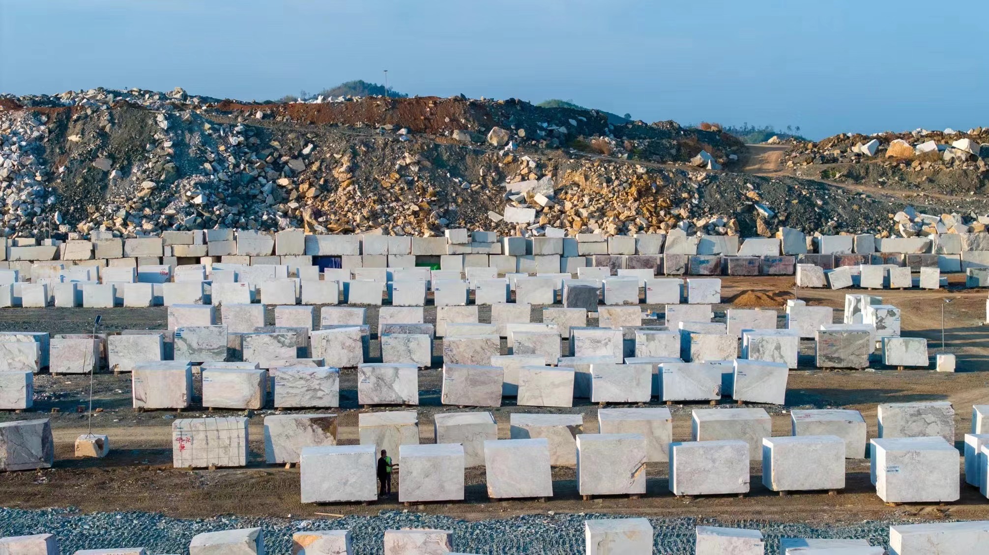 साहित्य निवड